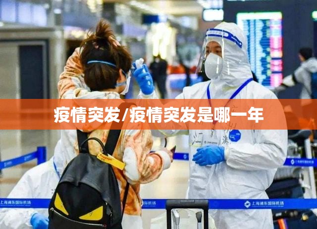 疫情突发/疫情突发是哪一年 疫情突发/疫情突发是哪一年