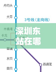 深圳东站在哪里/深圳东站在哪里位置 深圳东站在哪里/深圳东站在哪里位置