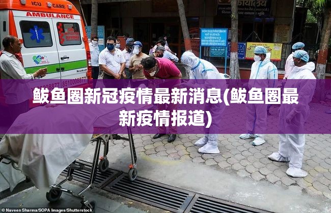 鲅鱼圈新冠疫情最新消息(鲅鱼圈最新疫情报道)