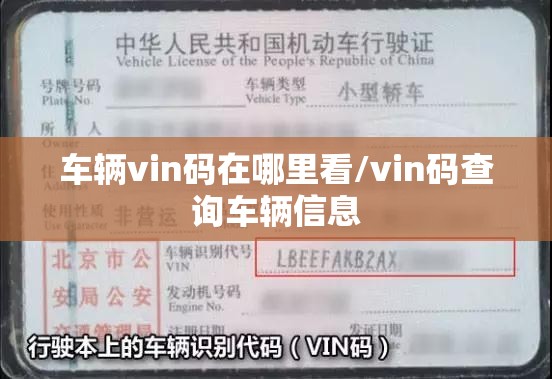 车辆vin码在哪里看/vin码查询车辆信息 车辆vin码在哪里看/vin码查询车辆信息