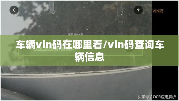 车辆vin码在哪里看/vin码查询车辆信息 车辆vin码在哪里看/vin码查询车辆信息