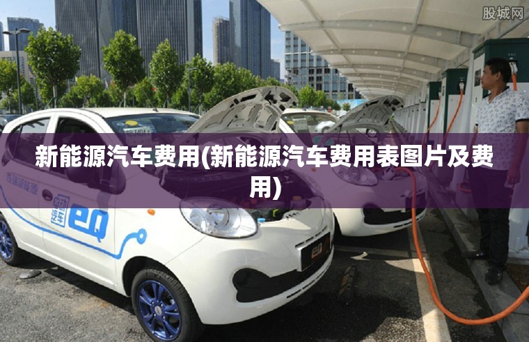 新能源汽车费用(新能源汽车费用表图片及费用) 新能源汽车费用(新能源汽车费用表图片及费用)