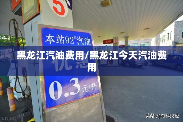 黑龙江汽油费用/黑龙江今天汽油费用 黑龙江汽油费用/黑龙江今天汽油费用
