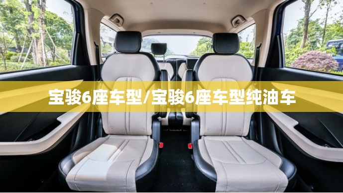 宝骏6座车型/宝骏6座车型纯油车