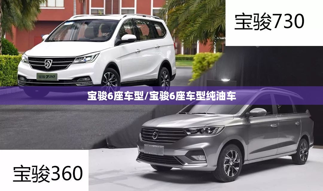 宝骏6座车型/宝骏6座车型纯油车
