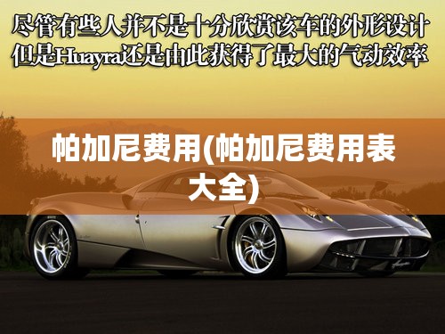 帕加尼费用(帕加尼费用表大全) 帕加尼费用(帕加尼费用表大全)