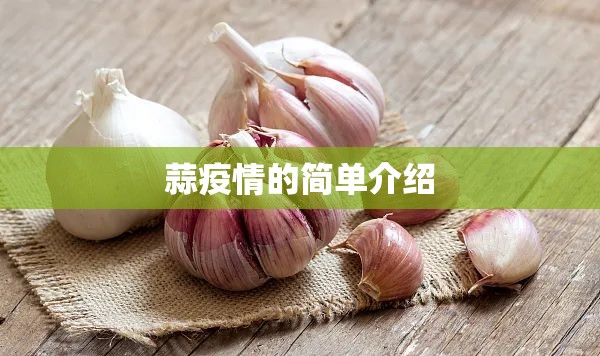 蒜疫情的简单介绍 蒜疫情的简单介绍