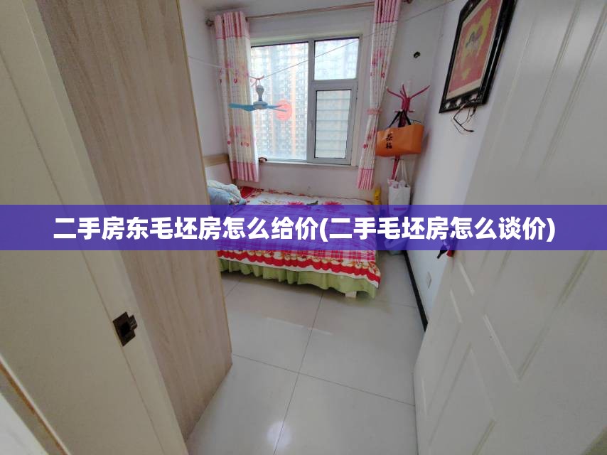 二手房东毛坯房怎么给价(二手毛坯房怎么谈价)