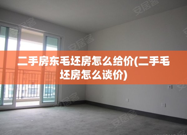 二手房东毛坯房怎么给价(二手毛坯房怎么谈价)