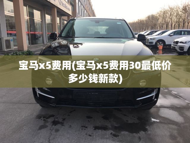 宝马x5费用(宝马x5费用30最低价多少钱新款)