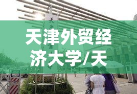天津外贸经济大学/天津外贸经济学校 天津外贸经济大学/天津外贸经济学校