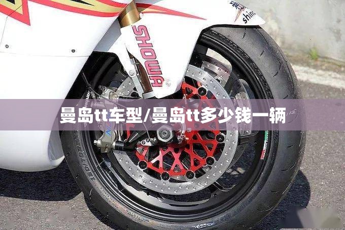 曼岛tt车型/曼岛tt多少钱一辆