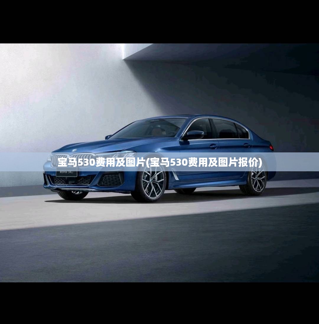 宝马530费用及图片(宝马530费用及图片报价) 宝马530费用及图片(宝马530费用及图片报价)