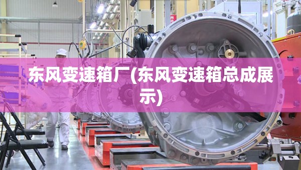 东风变速箱厂(东风变速箱总成展示)