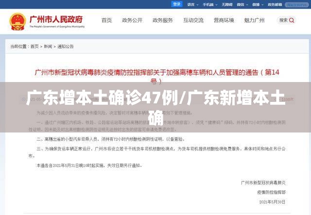 广东增本土确诊47例/广东新增本土确
