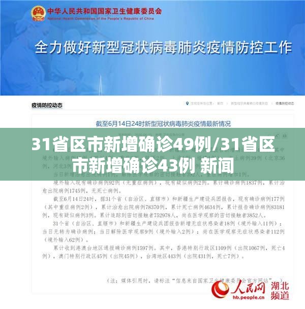 31省区市新增确诊49例/31省区市新增确诊43例 新闻