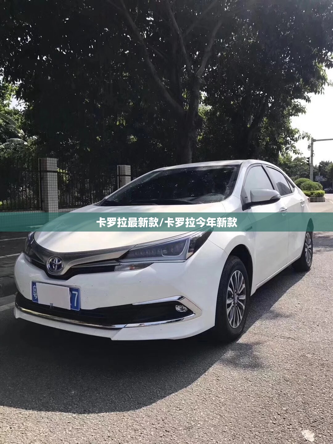 卡罗拉最新款/卡罗拉今年新款 卡罗拉最新款/卡罗拉今年新款