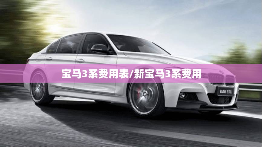 宝马3系费用表/新宝马3系费用