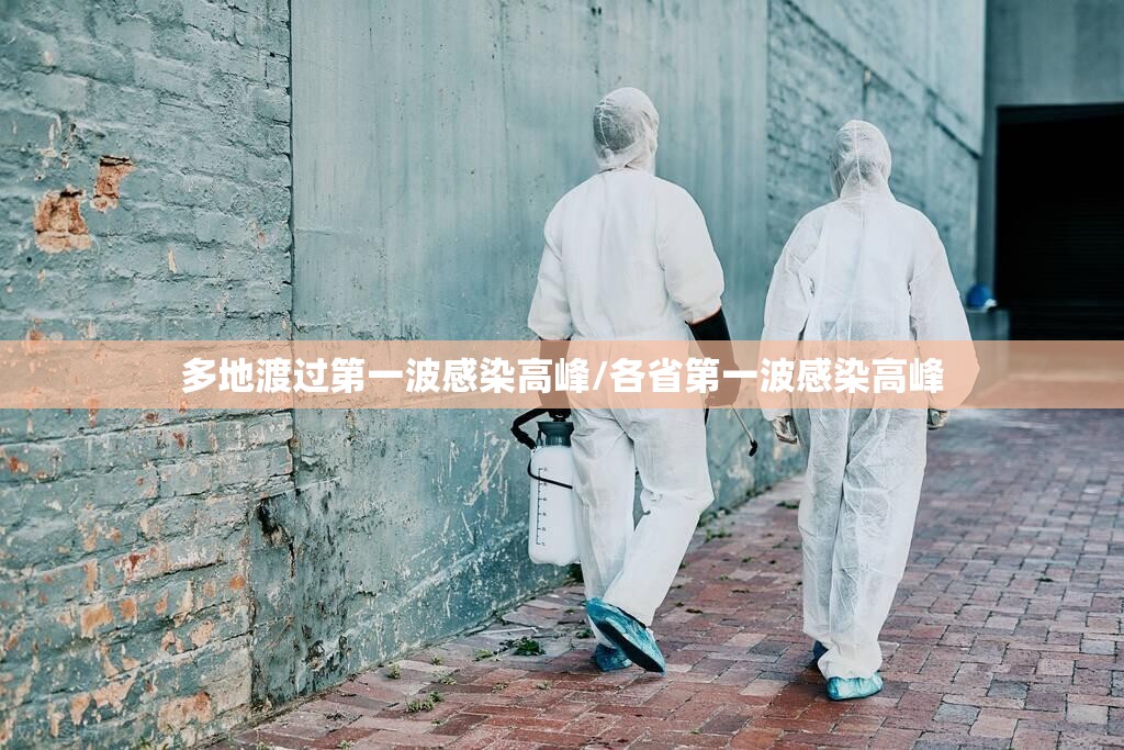 多地渡过第一波感染高峰/各省第一波感染高峰 多地渡过第一波感染高峰/各省第一波感染高峰