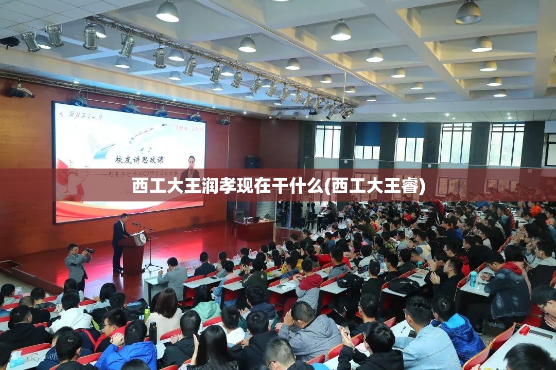西工大王润孝现在干什么(西工大王睿)