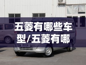 五菱有哪些车型/五菱有哪些车型6年免检 五菱有哪些车型/五菱有哪些车型6年免检