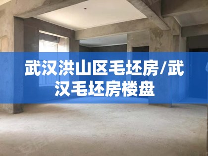 武汉洪山区毛坯房/武汉毛坯房楼盘