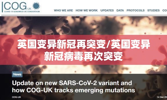 英国变异新冠再突变/英国变异新冠病毒再次突变 英国变异新冠再突变/英国变异新冠病毒再次突变