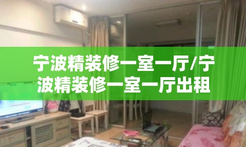 宁波精装修一室一厅/宁波精装修一室一厅出租 宁波精装修一室一厅/宁波精装修一室一厅出租