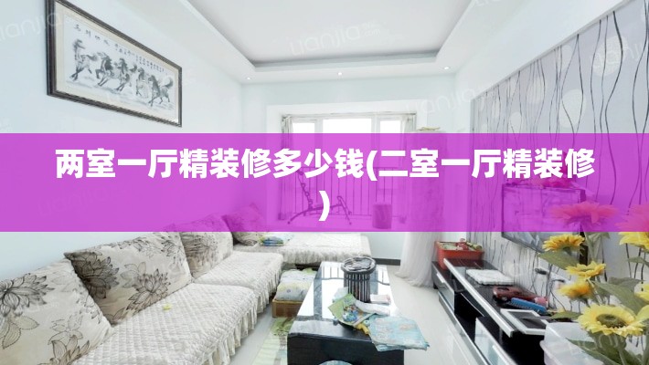 两室一厅精装修多少钱(二室一厅精装修) 两室一厅精装修多少钱(二室一厅精装修)