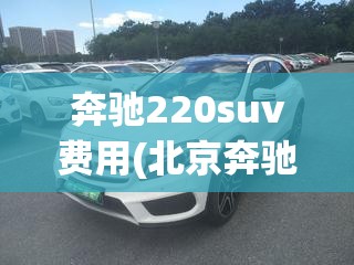 奔驰220suv费用(北京奔驰220suv费用) 奔驰220suv费用(北京奔驰220suv费用)