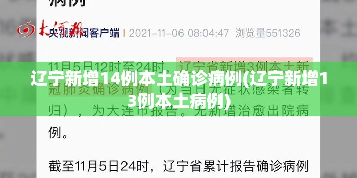 辽宁新增14例本土确诊病例(辽宁新增13例本土病例)