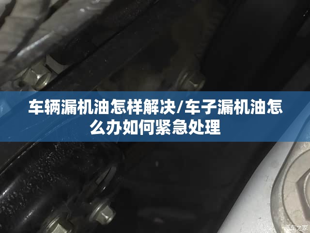 车辆漏机油怎样解决/车子漏机油怎么办如何紧急处理 车辆漏机油怎样解决/车子漏机油怎么办如何紧急处理