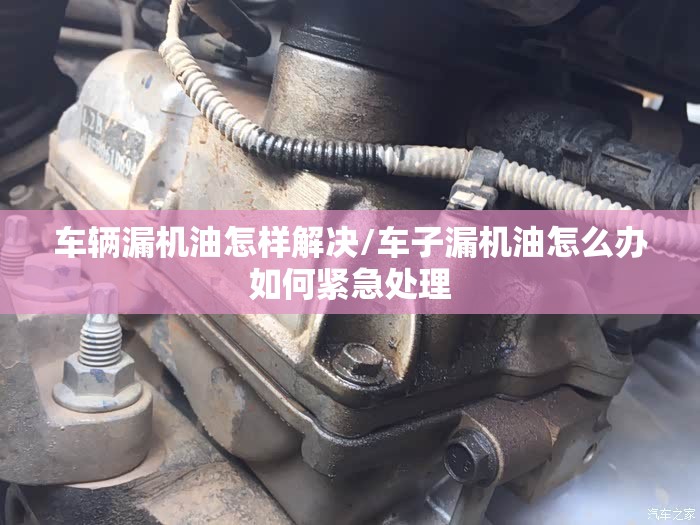 车辆漏机油怎样解决/车子漏机油怎么办如何紧急处理 车辆漏机油怎样解决/车子漏机油怎么办如何紧急处理
