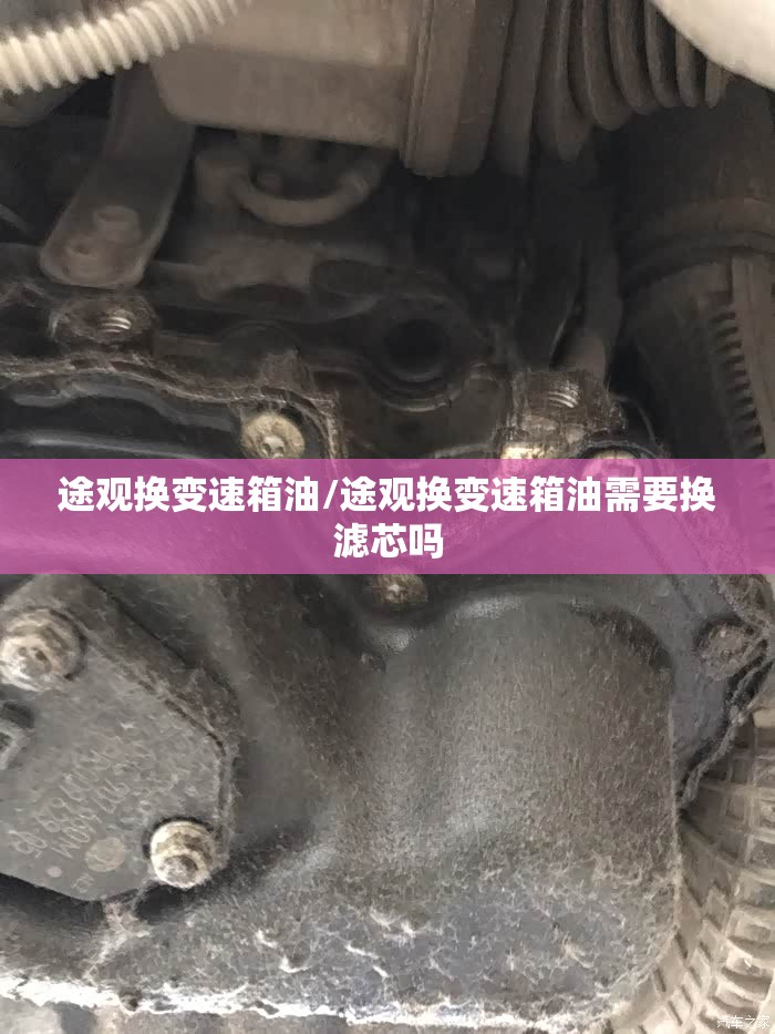 途观换变速箱油/途观换变速箱油需要换滤芯吗 途观换变速箱油/途观换变速箱油需要换滤芯吗