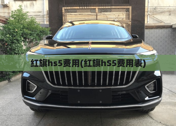 红旗hs5费用(红旗hS5费用表) 红旗hs5费用(红旗hS5费用表)