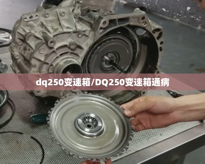 dq250变速箱/DQ250变速箱通病 dq250变速箱/DQ250变速箱通病