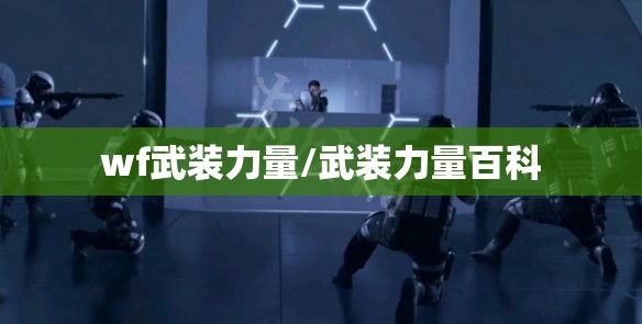 wf武装力量/武装力量百科 wf武装力量/武装力量百科