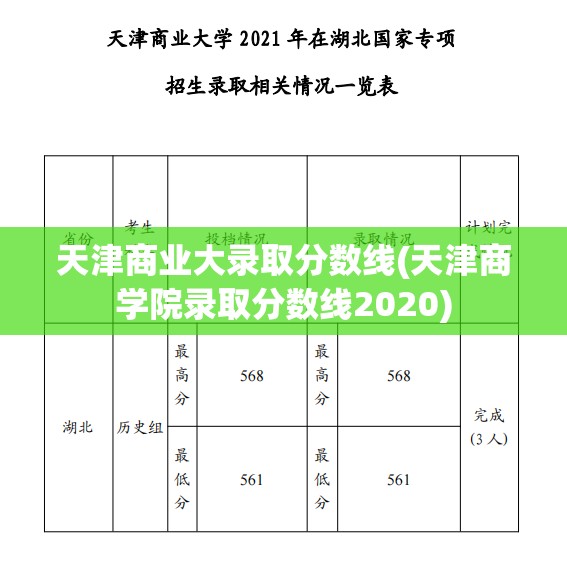天津商业大录取分数线(天津商学院录取分数线2020)