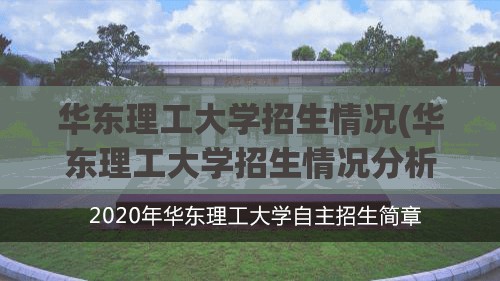 华东理工大学招生情况(华东理工大学招生情况分析)
