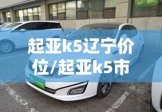 起亚k5辽宁价位/起亚k5市场价 起亚k5辽宁价位/起亚k5市场价