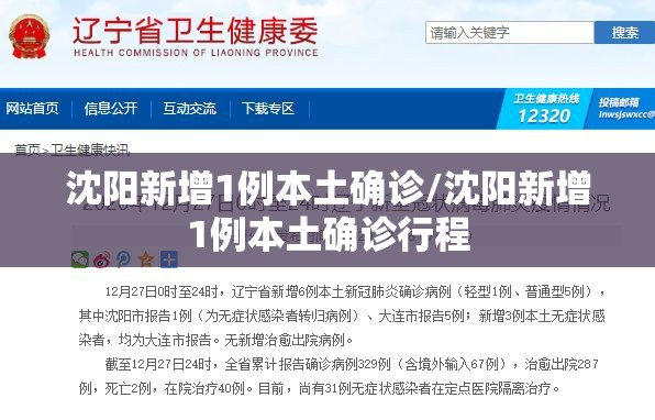 沈阳新增1例本土确诊/沈阳新增1例本土确诊行程 沈阳新增1例本土确诊/沈阳新增1例本土确诊行程