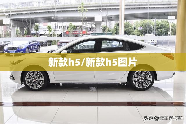新款h5/新款h5图片 新款h5/新款h5图片