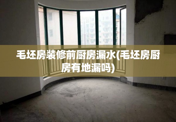 毛坯房装修前厨房漏水(毛坯房厨房有地漏吗) 毛坯房装修前厨房漏水(毛坯房厨房有地漏吗)