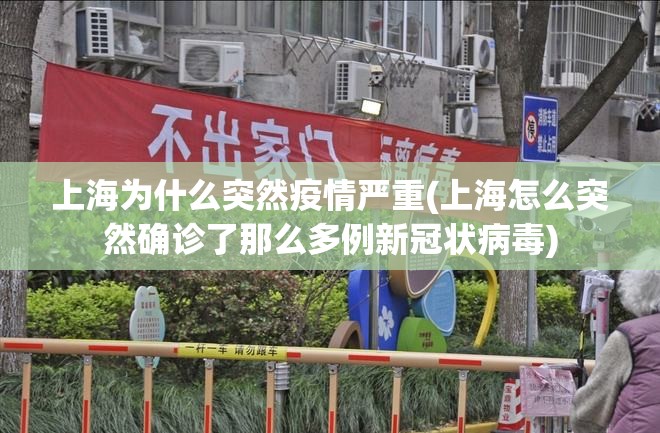 上海为什么突然疫情严重(上海怎么突然确诊了那么多例新冠状病毒) 上海为什么突然疫情严重(上海怎么突然确诊了那么多例新冠状病毒)