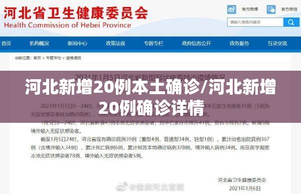 河北新增20例本土确诊/河北新增20例确诊详情
