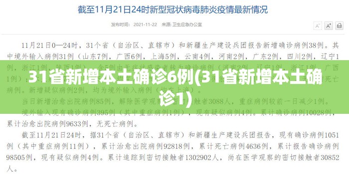 31省新增本土确诊6例(31省新增本土确诊1)