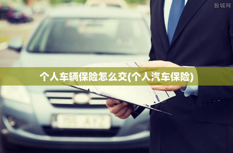 个人车辆保险怎么交(个人汽车保险)