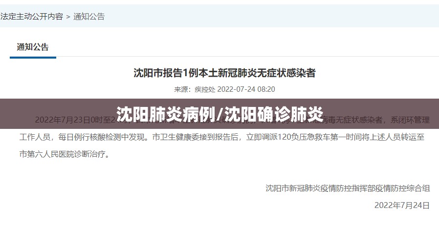 沈阳肺炎病例/沈阳确诊肺炎