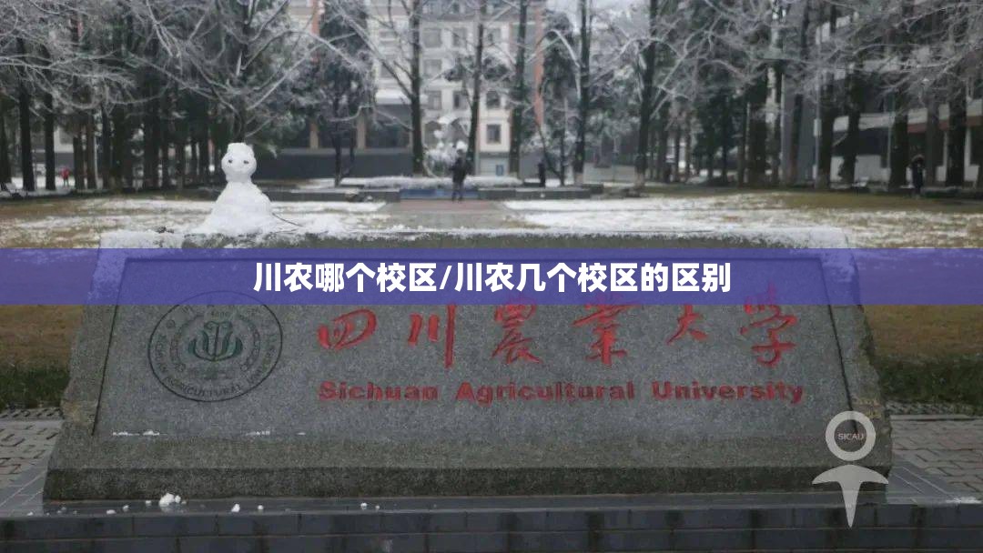 川农哪个校区/川农几个校区的区别 川农哪个校区/川农几个校区的区别