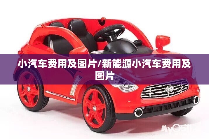 小汽车费用及图片/新能源小汽车费用及图片 小汽车费用及图片/新能源小汽车费用及图片
